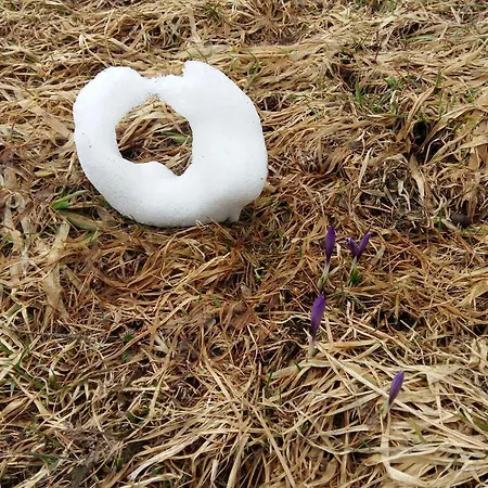 Appartamento Rustico *